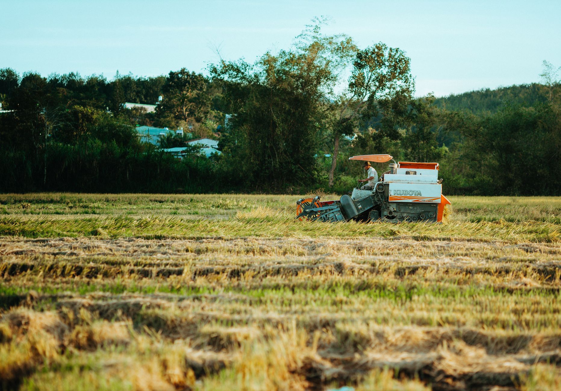 Tractor working a green farm field