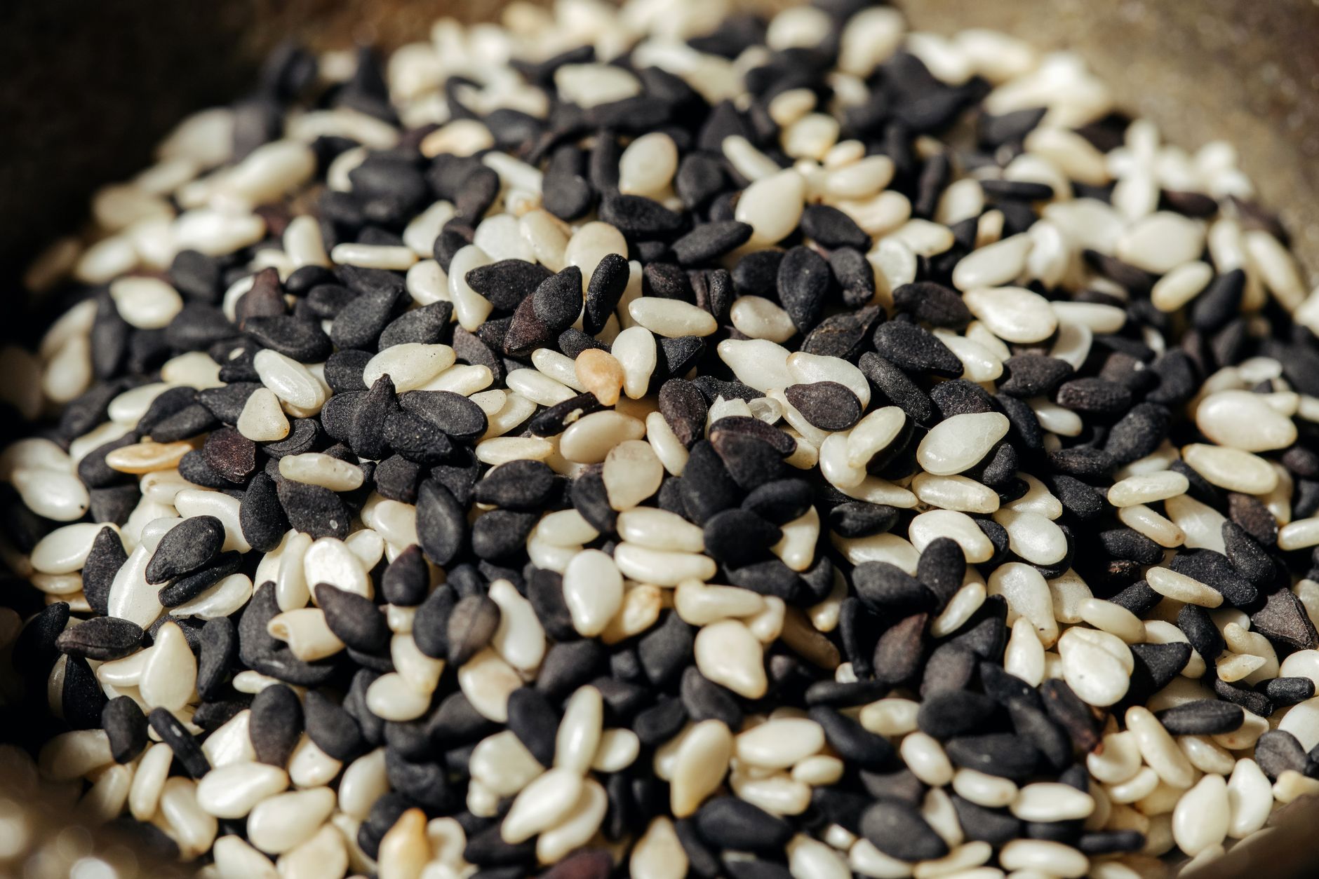Sesame